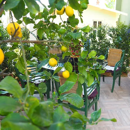 Parnasus 4* Agrigento