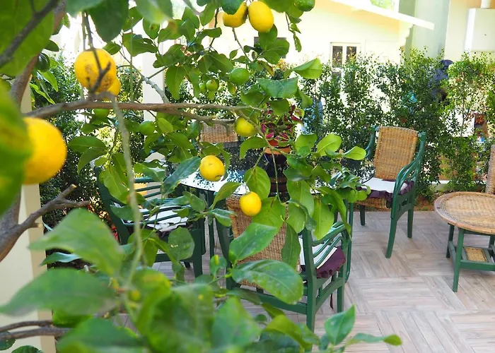 Parnasus Bed & Breakfast