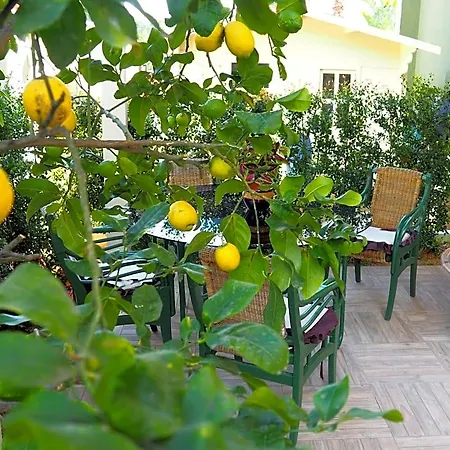 Parnasus 4* Agrigento
